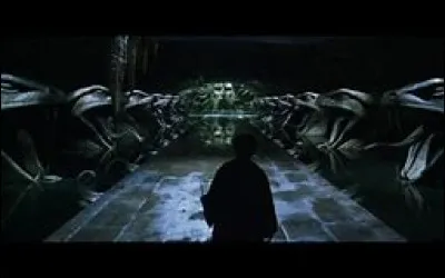 Qui a ouvert la Chambre des secrets ?