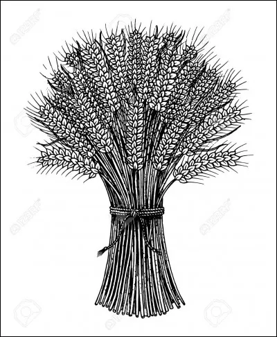 Zeus était le père de Perséphone, mais qui était sa mère ?