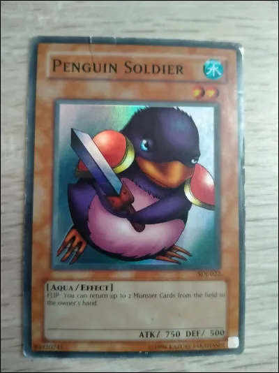 Qu'est-ce qu'un effet Flip ?