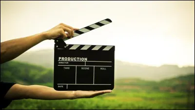 Quel est ton genre de films / livres préféré ?