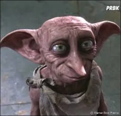 Comment est mort Dobby ?