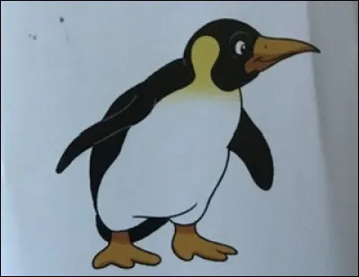 Manchot ou pingouin ?