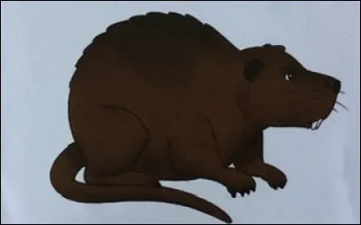 Quel est cet animal ?