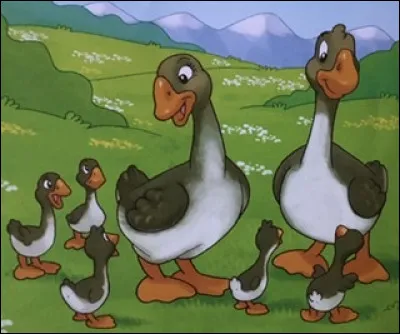 Comment se nomme l'oie qui voyage ?