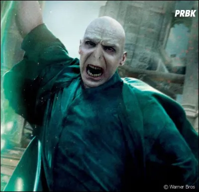 Qui est l'ennemi de Voldemort ?