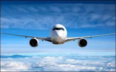 Pourquoi les deux héros font-ils un voyage ?