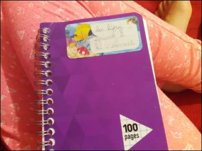 De quelle couleur sont tes cheveux ?