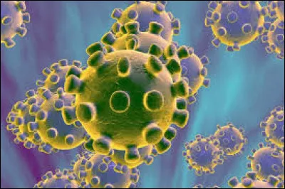 Vivement que ce "virus" parte !