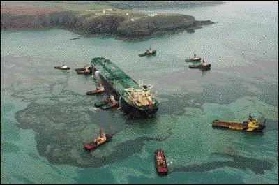 Quelles côtes ont été polluées par l'échouage du Sea Empress en février 1996 ?