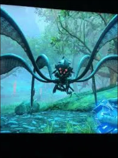 Et lui, il s'appelle :