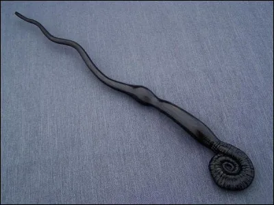 Qui est le propriétaire de cette baguette ?