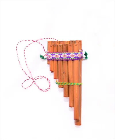 Quel est cet instrument ?