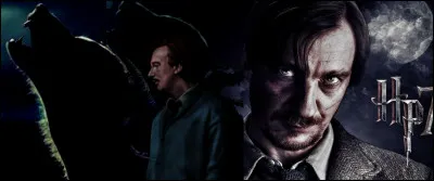 TOP 11 : Remus Lupin (89 pts)

Pourquoi Dumbledore a-t-il nommé Lupin préfet ?