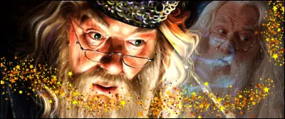 TOP 10 : Albus Dumbledore (113 pts)

Quelle est la plus grande faiblesse de Dumbledore ?