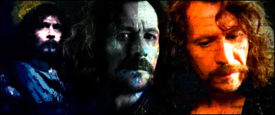 TOP 8 : Sirius Black (126 pts)

A quel âge s'enfuit-il de la maison familiale remplie de théories suprématistes et de magie noire ?