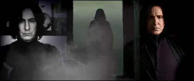 TOP 5 : Severus Rogue (161 pts)

C'est le meilleur du monde en occlumancie, c'est le meilleur du monde en potion, mais il fabrique aussi des sortilèges... Trouvez celui qu'il n'a pas inventé !