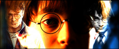 TOP 3 : Harry Potter (272 pts)Qui dit de lui qu'il symbolise "le triomphe du bien, le pouvoir de l'innocence, le besoin de résister" ?