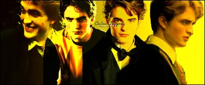 TOP 19 : Cedric Diggory (28 pts)

Avec sa victoire au Tournoi des Trois Sorciers, à quelle maison apporte-t-il une gloire éternelle ?