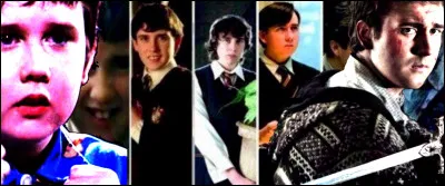 TOP 17 : Neville Londubat (47 pts)

Selon lui, quand est-ce qu'il rejoindra les rangs de Voldemort ?