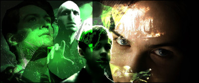 TOP 16 : Voldemort (57 pts)Qu'est-ce qui prouve que réussir à Poudlard ne signifie pas réussir dans la vie ?