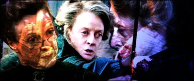 TOP 14 : Minerva McGonagall (61 pts)

Quel singularité partage-t-elle avec Dolores Ombrage ?