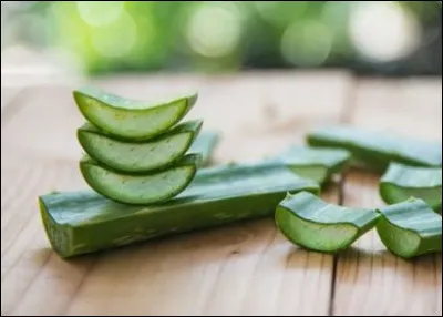 Si je vous annonce que le "cactier" a un rapport avec la raquette, que me direz-vous ?