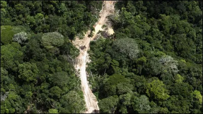 Depuis quand s'appelle-t-elle Kinshasa ?