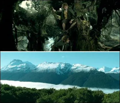 Comment s'appelle ce lieu ?