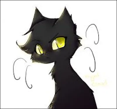 Belle-de-Nuit se nomme...