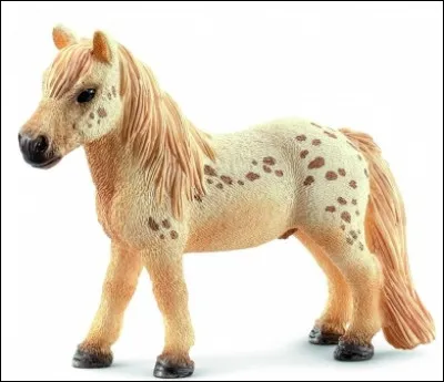 Comment appelle-t-on un cheval castré ?