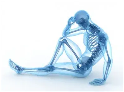 On dit que certaines parties du corps ne cessent de grandir durant toute notre vie. Est-ce vrai ? Alors lesquelles ?