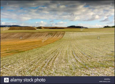 Où se trouve le bonheur pour Eddy Mitchell et Michel Serrault ?
