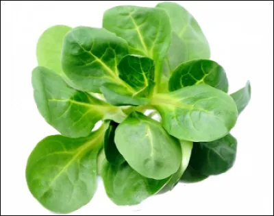 Trop facile : Corée, adaptation d'un film de Robert Altman avec Donald Sutherland...