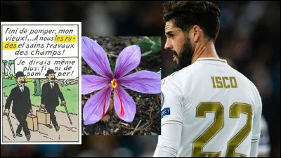 Quartiers glauques, avenues en montagnes russes, police, Karl Malden, apparition de "Schwarzy", Nick Nolte, Farah Fawcett, etc.