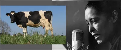 En vous révélant que l'acteur du personnage clé, Henry Winkler détestait le rock'n roll, les blousons, la banane et même les motos, vous saurez qu'il a dû composer !