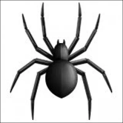 Une simple "araignée" peut effrayer mon cousin.