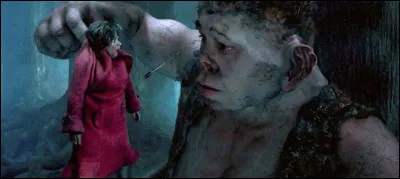 De quelle couleur sont les yeux de Graup ?