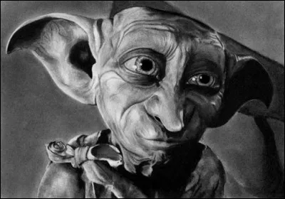 De quelle couleur sont les yeux de Dobby ?