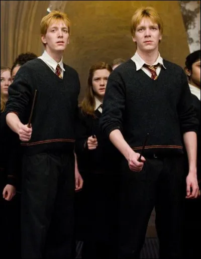 De quelle couleur sont les yeux de George Weasley ?