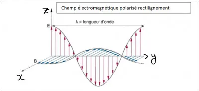 Cochez la réponse vraie.
Polarisation de u = +uy