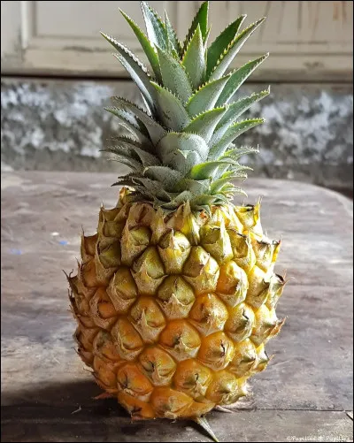 Quelle est cette variété d'ananas ?