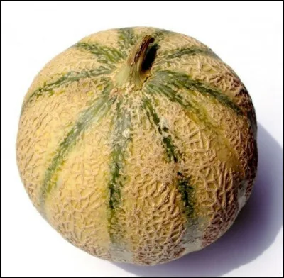 Quelle est cette variété de melon ?