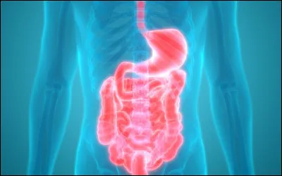 Qu'est-ce qui te motive le plus dans ce métier ?