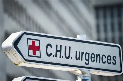 Depuis combien de temps veux-tu faire ce métier ?