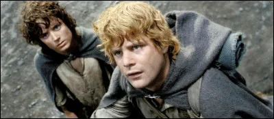 Par qui Frodon et Sam se font-ils prendre ?