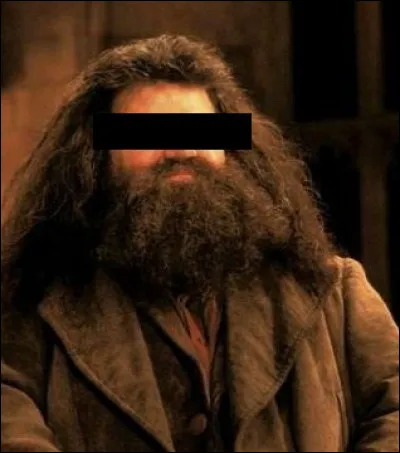 De quelle couleur sont les yeux de Rubeus Hagrid ?