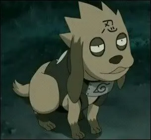 Il fait partie de l'escouade invoqu par Kakashi :