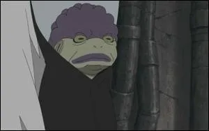 Elle est l'autre matre de Jiraya, elle est trs impulsive :