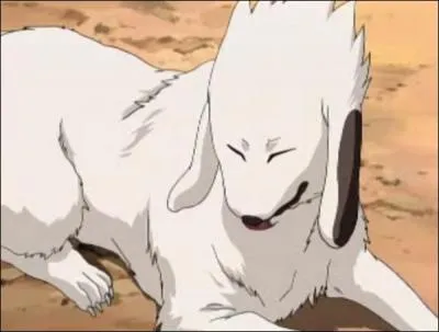 Il appartient  Kiba Inuzuka :
