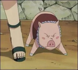 Il appartient  Tsunade, mais s'entend trs bien avec Shizune :